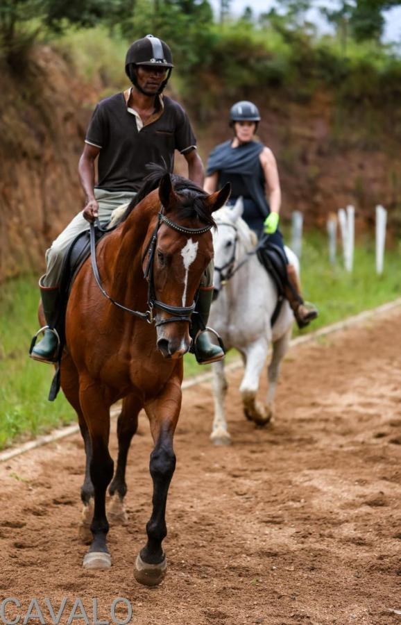 Cavalo Guesthouse&Equestrian Estate Drummond Exterior foto