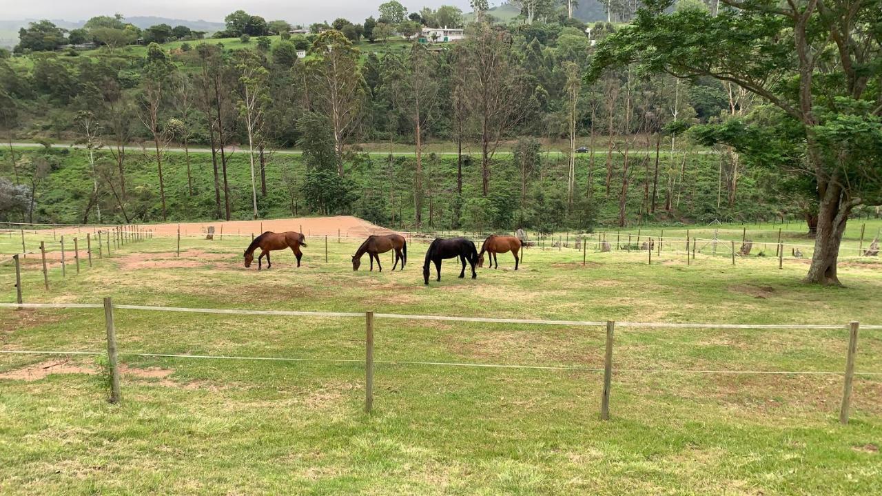 Cavalo Guesthouse&Equestrian Estate Drummond Exterior foto
