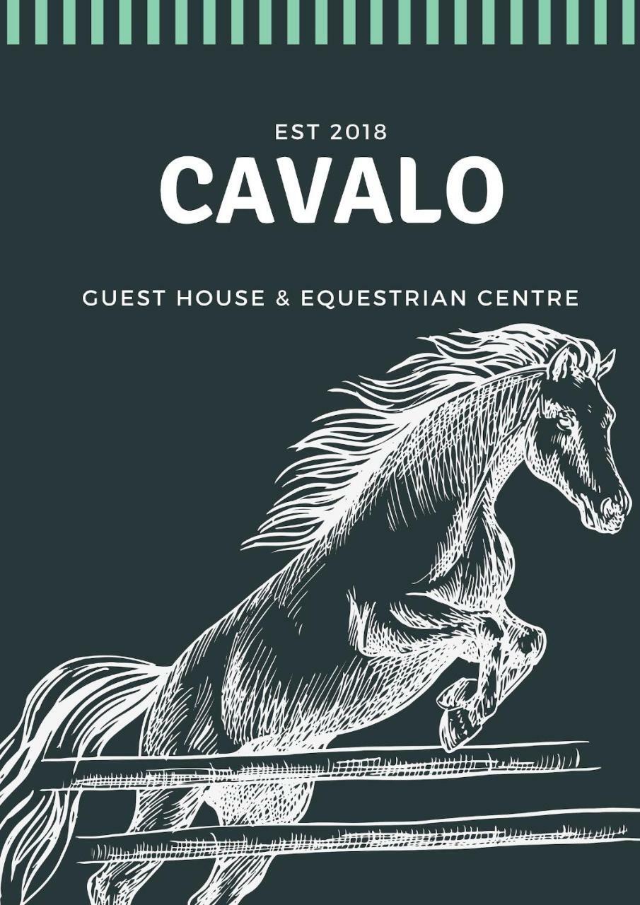 Cavalo Guesthouse&Equestrian Estate Drummond Exterior foto