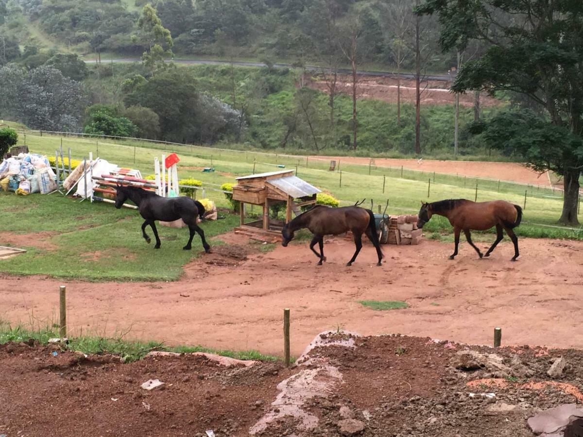 Cavalo Guesthouse&Equestrian Estate Drummond Exterior foto
